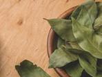 Tak Cuma Berguna untuk Sedapkan Masakan, Daun Salam Juga Bisa Obati Diabetes & 3 Penyakit Ini