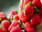 Tak Hanya Nikmat untuk Dikonsumsi, Buah Stroberi Ternyata Punya 17 Manfaat untuk Kesehatan