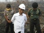 Curah Hujan Rendah, BMKG Peringatkan 9 Daerah di Indonesia Ini Waspada Kebakaran Hutan