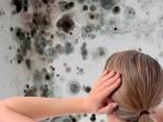 Tembok Rumah Berjamur? Jangan Panik, 7 Langkah Ini Dapat Hilangkan Jamur dan Mencegahnya