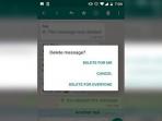 Kabar Gembira, Hapus Pesan WhatsApp Kini Tak Lagi Berdurasi 7 Menit