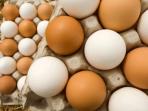 Tak Banyak yang Tahu, Mana yang Lebih Sehat Telur Ayam Kampung atau Telur Negeri?