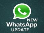 Cara Mudah Atasi Nomor WhatsApp Tak Muncul di Kontak Hape