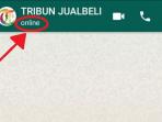 Ingin Sembunyikan Status Online Pada WhatsApp? Ikuti Cara Berikut
