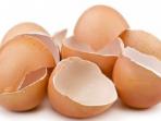 Manfaat Kulit Telur sebagai Pengganti Sabun Cuci yang Tak Banyak Orang Tahu, Begini Caranya