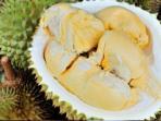 Untuk Pecinta Durian, Ini Lho Tips Memilih Daging Durian yang Berkualitas