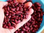 Tips Mengolah Kacang Merah Agar Tak Keras dan Tak Beracun