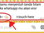 WhatsApp Error Setelah Klik Tombol Hitam Ini? Begini Cara Mudah Mengatasinya