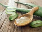 Dibalik Manfaat Baik, Ada 8 Masalah yang Mengancam Jika Sering Pakai Aloe Vera