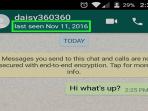Trik Mudah Ketahui Status Last Seen yang Sengaja Dinonaktifkan oleh Pengguna Whatsapp Lain