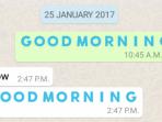 Agar Lebih Berwarna, Begini Cara Mudah Mengubah Warna Huruf di WhatsApp