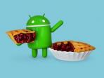 Belum Sebulan Diluncurkan, Android Pie Sudah Memunculkan Masalah di Sistem