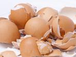 Dari Memutihkan Pakaian sampai Bahan Kecantikan, Ini Manfaat Kulit Telur yang Tak Banyak Orang Tahu