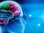 Jangan Disepelekan, 5 Kebiasaan Ini Bisa Sebabkan Kerusakan Otak