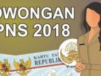 Agar Tak Gagal Saat Daftar CPNS 2018, Perhatikan Aturan File yang Diunggah