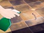 Dijamin Mudah, Begini Tips untuk Cegah & Basmi Kelabang di Toilet atau Ruang Lain di Rumah