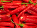 Meski Terkadang Membuat Sakit Perut, Ini Deretan Manfaat Cabai Untuk Kesehatan