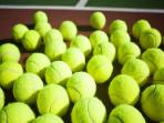 Sering Liburan Atau Bepergian Jarak Jauh? Bawalah Bola Tenis!