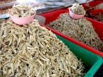 7 Manfaat Kesehatan Konsumsi Ikan Teri yang Jarang Disadari