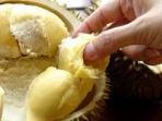 Berakibat Fatal bagi Kesehatan, 6 Orang dengan Kondisi Ini Tak Disarankan Makan Durian 