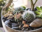 Terrarium, Teknik Berkebun yang Bisa Bebas Pindah Tanaman Sesuka Hati
