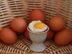 Buat Kamu yang Sedang Diet, 4 Makanan Ini Bisa Bantu Turunkan Berat Badan