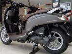 Cari Skutik Murah? Ini Pilihan Honda Scoopy Bekas, Harga Mulai Rp 8 Jutaan