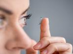 Buat Kamu yang Suka Pake Softlens, Yuk Simak 4 Tips Cara Membersihkannya