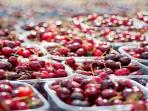 Jangan Sampai Termakan, Ini Bagian Buah-Buahan yang Mengandung Racun