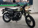 Motor Retro Pilih Kawasaki W175TR atau W175 Reguler, Cek Harga dan Simak Bedanya Yuk