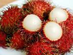Selain Enak, Yuk Kepoin 5 Manfaat dari Buah Rambutan