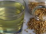 6 Manfaat Tak Terduga Minum Air Rendaman Biji Ketumbar, Salah Satunya Mengobati Diabetes