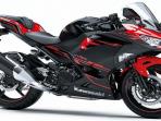 Cek Harga Motor Sport Kawasaki Ninja Bekas di Beberapa Wilayah, Ini 3 Pilihannya 