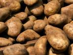 Ingin Menurunkan Berat Badan? Coba dengan Diet Ubi Jalar, Simak Caranya