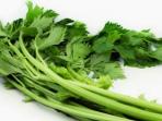 Ketahui, Ini 5 Manfaat Sehat Menambahkan Daun Seledri ke Dalam Makanan