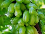 Sering Dimanfaatkan Sebagai Bumbu Masakan, Ternyata Belimbing Wuluh Punya 3 Manfaat Lain 
