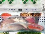 Demi Menjaga Kesegaran Ikan, Ini Lama Waktu yang Tepat untuk Menyimpan Ikan di Kulkas