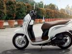 Pantau Beberapa Hal Berikut ini Ketika Mau Beli Honda Scoopy FI Bekas
