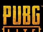 Resmi Masuk di Indonesia, Ini Spesifikasi Minimum Jika Ingin Main Game PUBG Lite