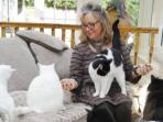 Selain Jadi Hobi, Ternyata Memelihara Kucing Memberikan 5 Manfaat Bagi Kesehatan