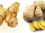 Tak Cuma Melezatkan Makanan, Ini 7 Manfaat Lengkuas Untuk Kesehatan Tubuh