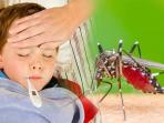 Waspada DBD, Ini Cara Mudah Basmi Jentik Nyamuk Demam Berdarah Tanpa Fogging dan Biaya Banyak