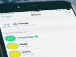 Cara Mudah Intip Status WhatsApp Story Orang Lain Tanpa Ketahuan