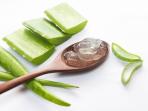 Selain untuk Melembabkan Wajah, Ini 5 Manfaat Menakjubkan Gel Lidah Buaya Bagi Tubuh