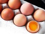 Tak Disarankan Mencuci Telur yang Dibeli di Supermarket Sebelum Disimpan dalam Kulkas