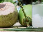 Terkenal Menyehatkan, Ternyata 5 Orang dengan Kondisi Ini Tak Dianjurkan Minum Air Kelapa Muda