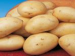 8 Bahan Makanan Ini Bisa Menjadi Racun Jika Tak Dimasak