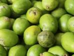 Buah Kedondong Ternyata Memiliki Banyak Manfaat dan Khasiat yang Tak Banyak Orang Tahu