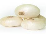 Khasiat Bawang Putih Untuk Penyembuhan Kanker, Simak Yuk!