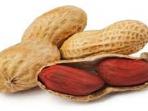 Mitos Tentang Munculnya Jerawat Disebabkan Oleh Kacang